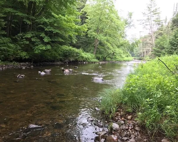 $127,000 | 191 Pingree Park Lane, Londonderry, VT 05148