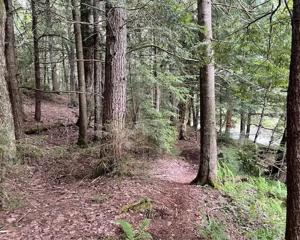 $127,000 | 191 Pingree Park Lane, Londonderry, VT 05148