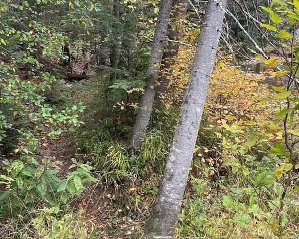 $127,000 | 191 Pingree Park Lane, Londonderry, VT 05148