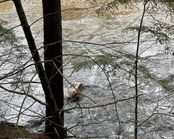 $127,000 | 191 Pingree Park Lane, Londonderry, VT 05148