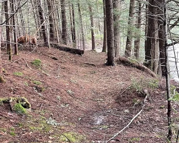 $127,000 | 191 Pingree Park Lane, Londonderry, VT 05148