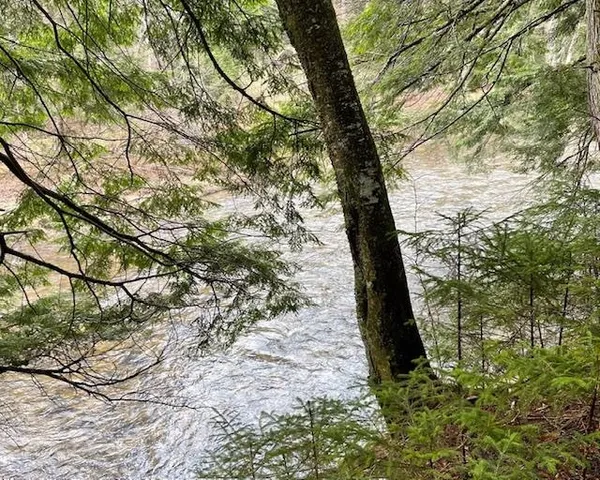 $127,000 | 191 Pingree Park Lane, Londonderry, VT 05148