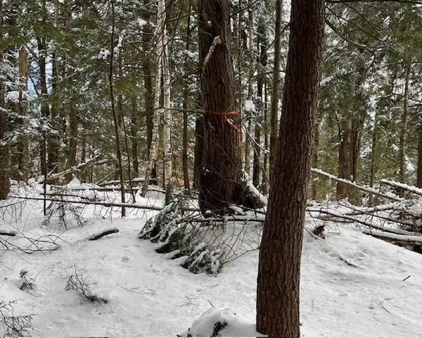 $127,000 | 191 Pingree Park Lane, Londonderry, VT 05148