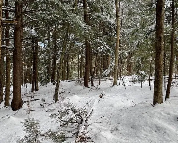 $127,000 | 191 Pingree Park Lane, Londonderry, VT 05148