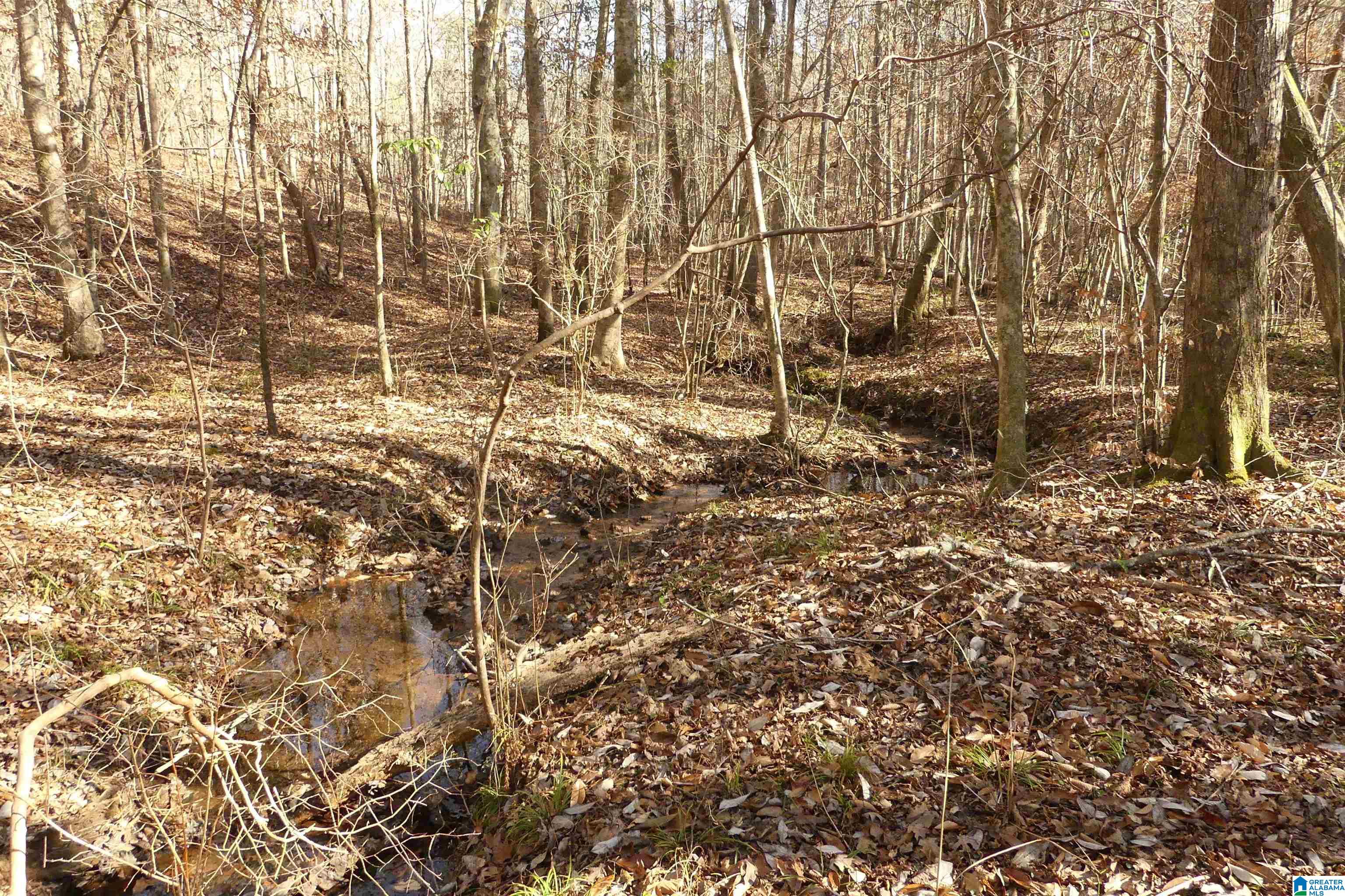 Lot # Harbour Point Drive, Unit 9 Delta, AL 36258 - Photo 3 of 8