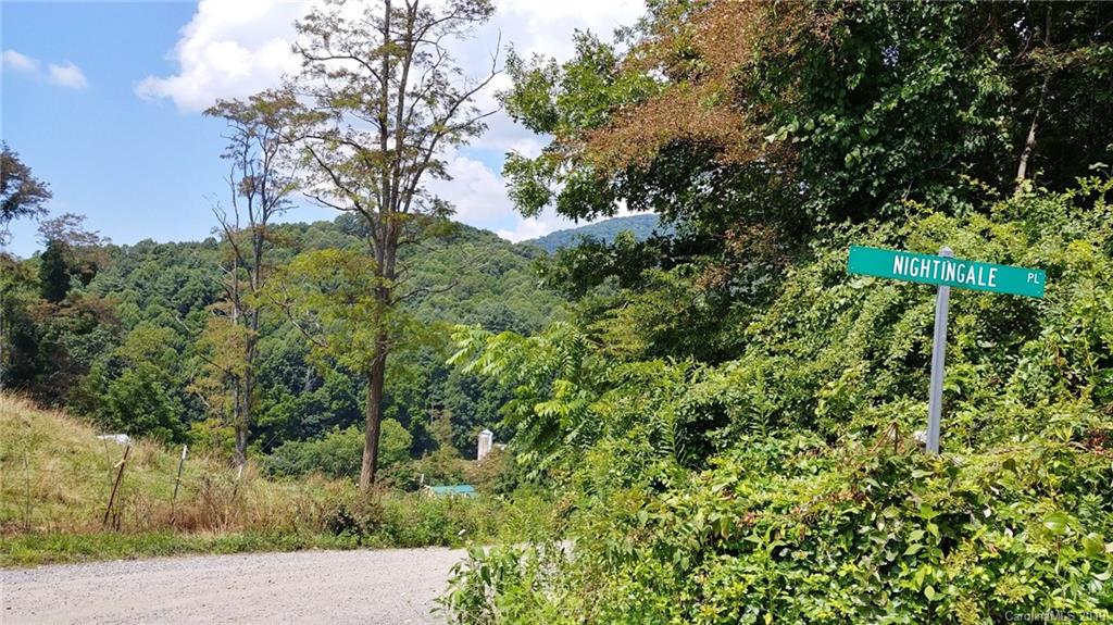 0 Plott Valley Road, Unit 75 Waynesville, NC 28786 - Photo 2 of 15