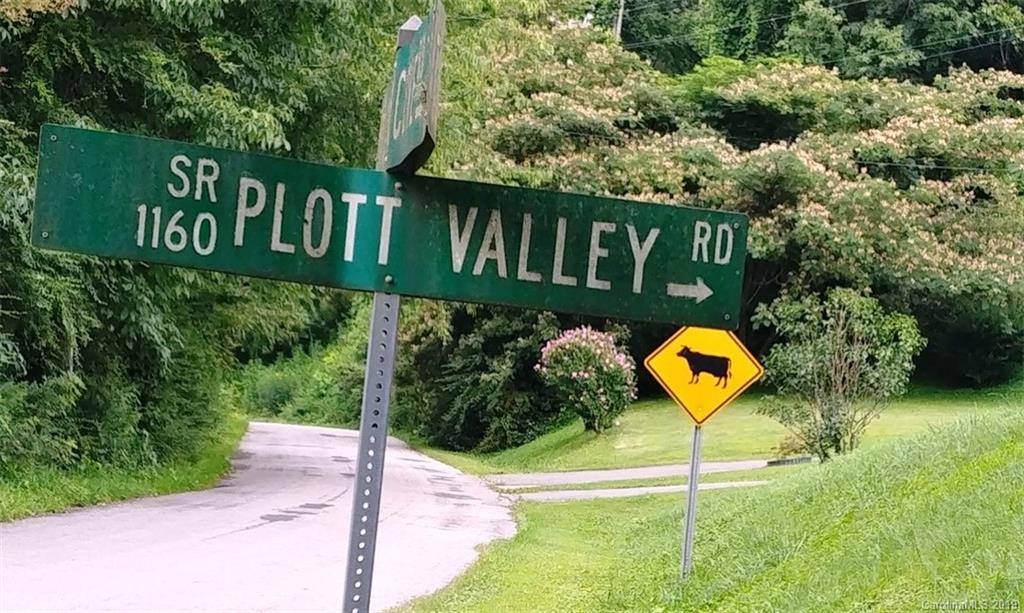 0 Plott Valley Road, Unit 75 Waynesville, NC 28786 - Photo 14 of 15