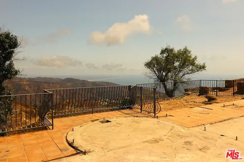 a view of a forest with trees in the background
