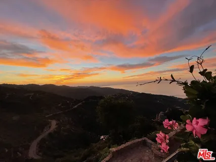 a view of a backyard of the house