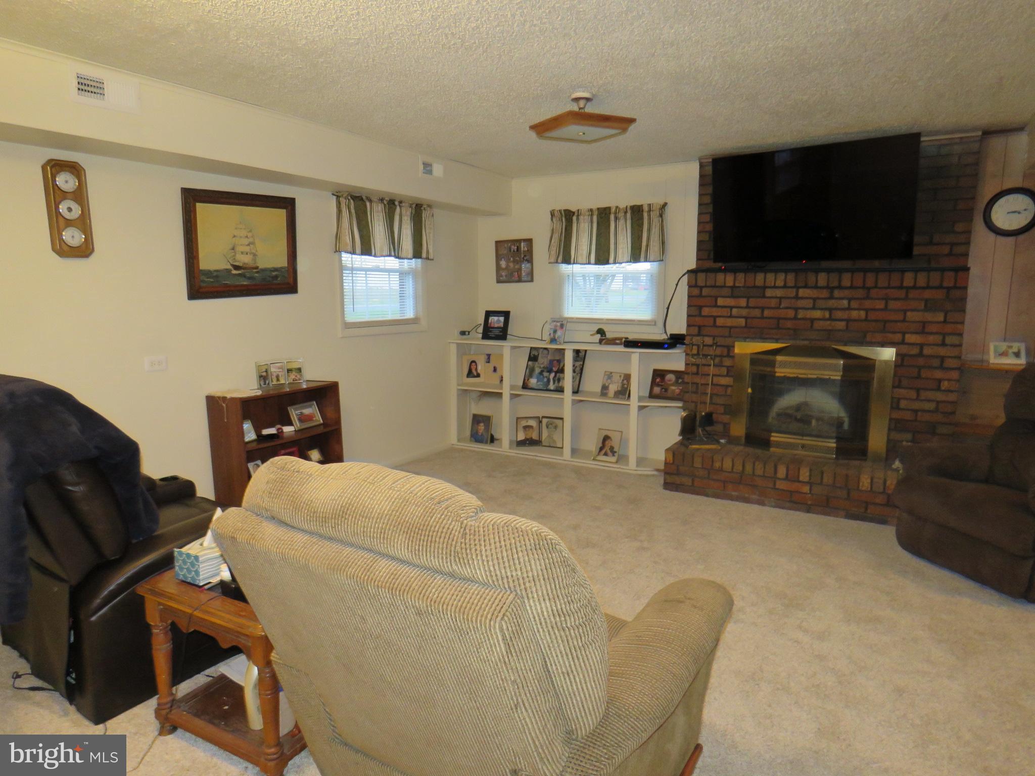 10976 Delaware Avenue Laurel, DE 19956 - Photo 19 of 56 LOWER LEVEL FAMILY ROOM W/ WOOD BURNING FIREPLACE
