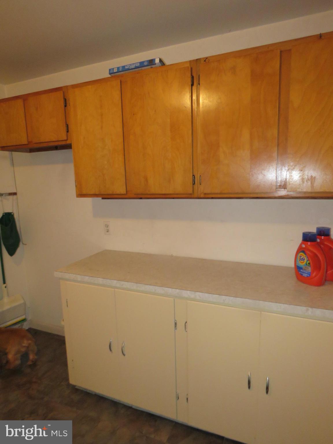 10976 Delaware Avenue Laurel, DE 19956 - Photo 49 of 56 LOWER LEVEL UTILITY ROOM