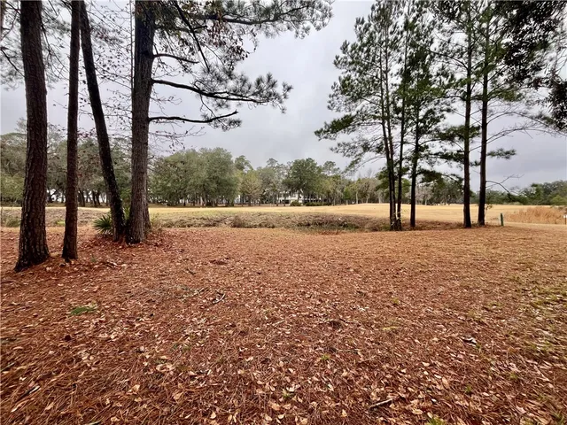 $89,000 | Lot 880 Oak Forrest Drive Northeast, Townsend, GA 31331