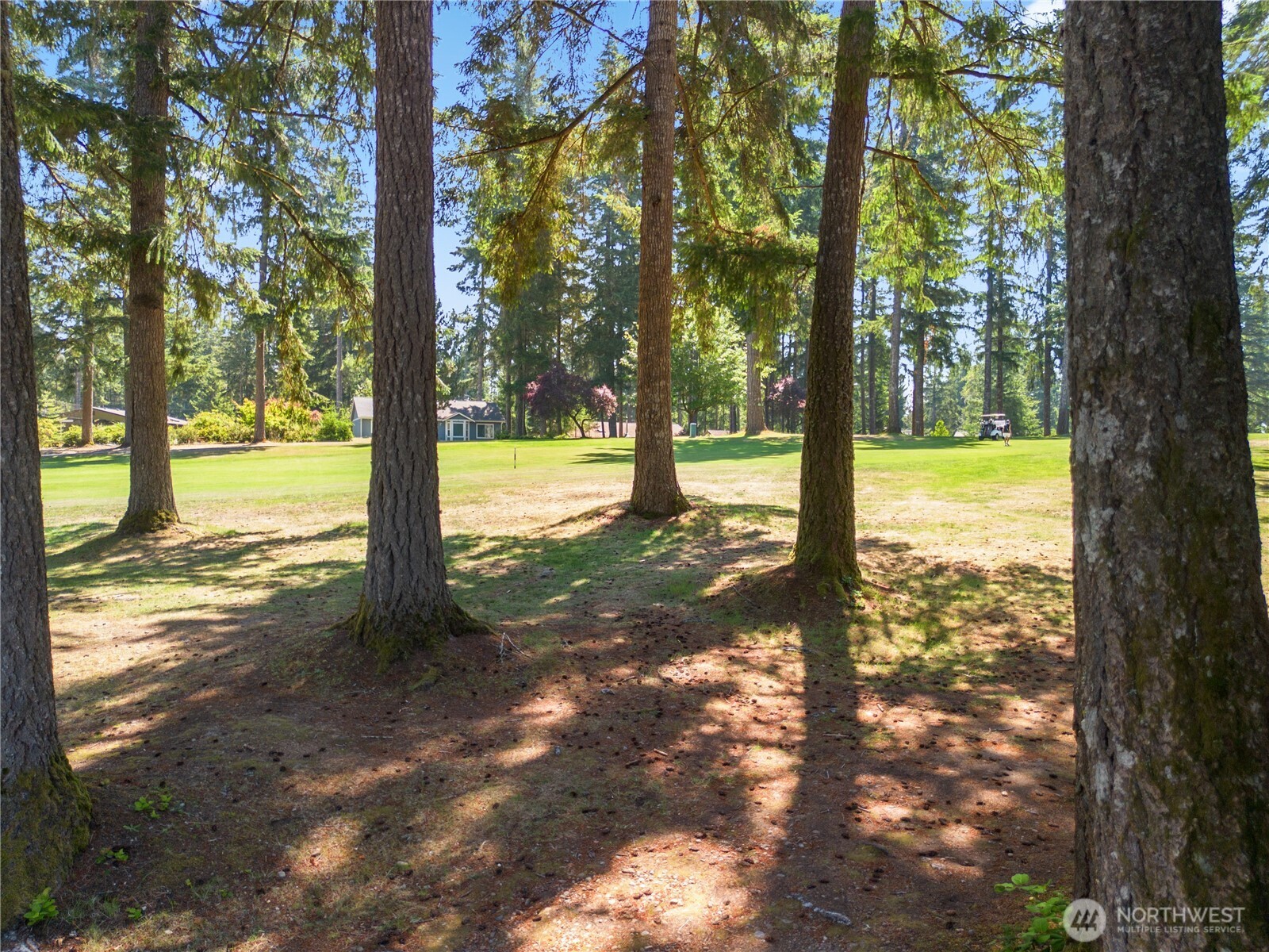 260 East Penzance Road Shelton, WA 98584 - Photo 4 of 40