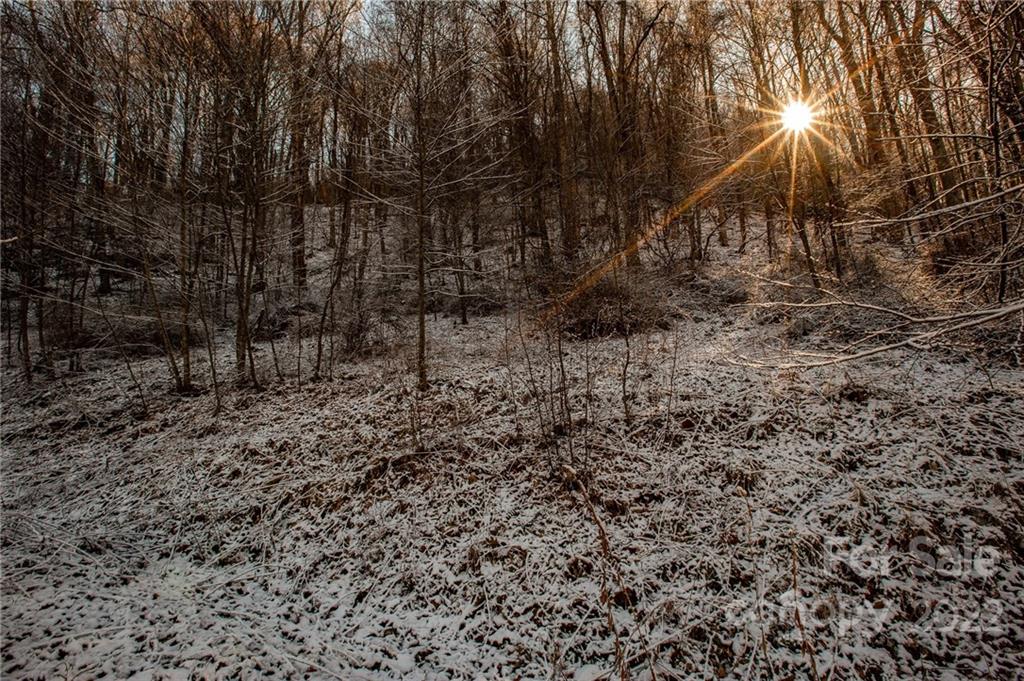 0 Soco Road, Unit 7 Maggie Valley, NC 28751 - Photo 19 of 48