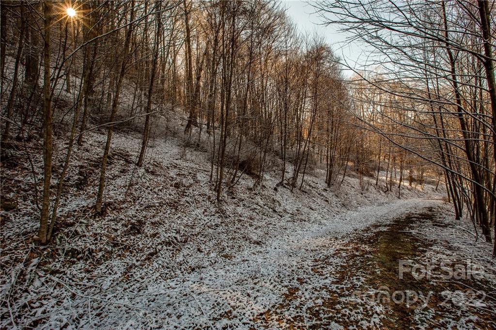 0 Soco Road, Unit 7 Maggie Valley, NC 28751 - Photo 20 of 48