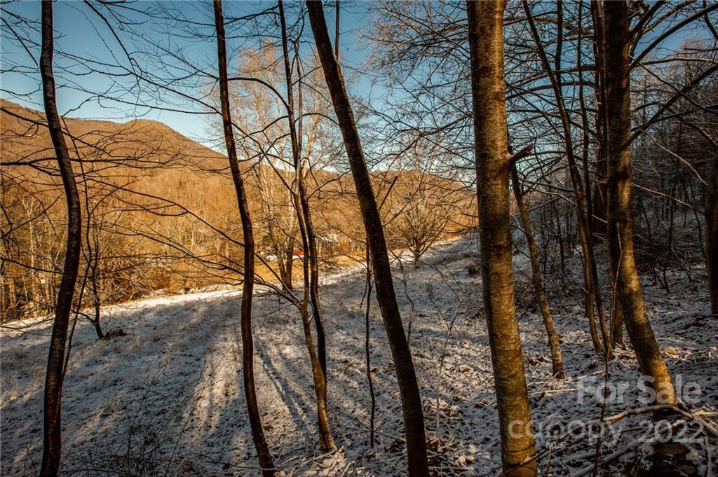 0 Soco Road, Unit 7 Maggie Valley, NC 28751 - Photo 2 of 48
