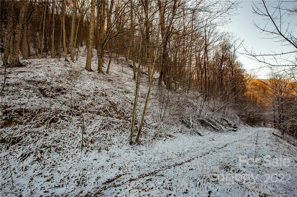 0 Soco Road, Unit 7 Maggie Valley, NC 28751 - Photo 22 of 48