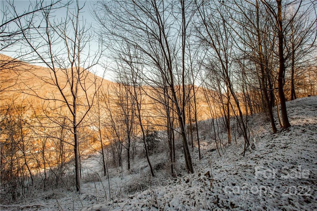 0 Soco Road, Unit 7 Maggie Valley, NC 28751 - Photo 23 of 48