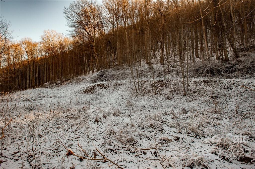 0 Soco Road, Unit 7 Maggie Valley, NC 28751 - Photo 24 of 48