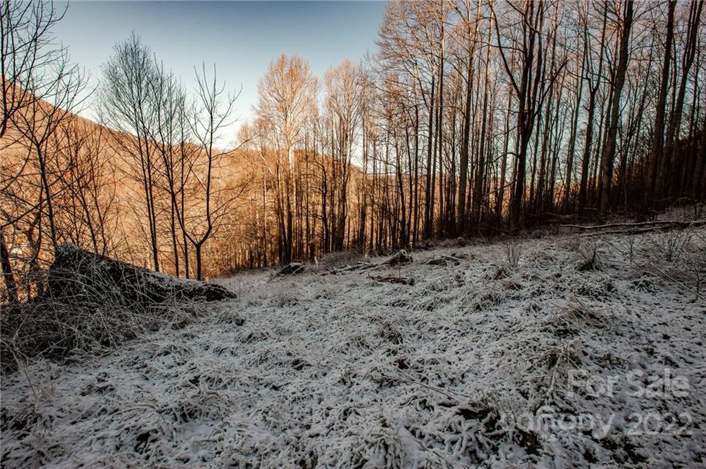 0 Soco Road, Unit 7 Maggie Valley, NC 28751 - Photo 27 of 48