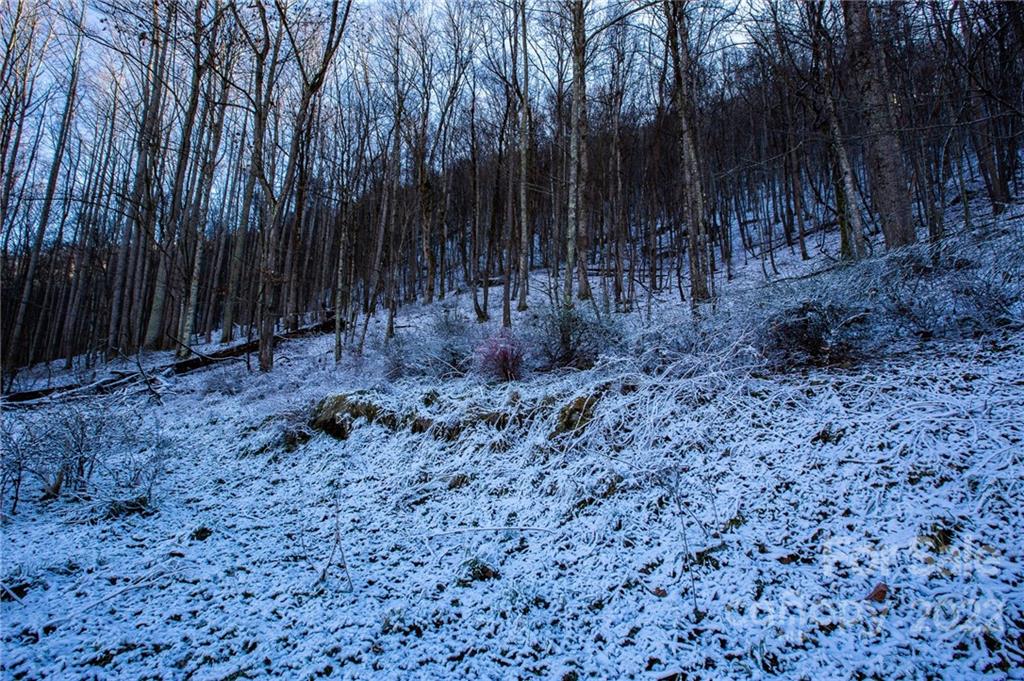 0 Soco Road, Unit 7 Maggie Valley, NC 28751 - Photo 28 of 48