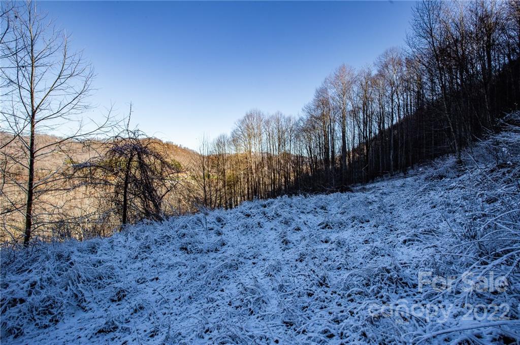 0 Soco Road, Unit 7 Maggie Valley, NC 28751 - Photo 29 of 48