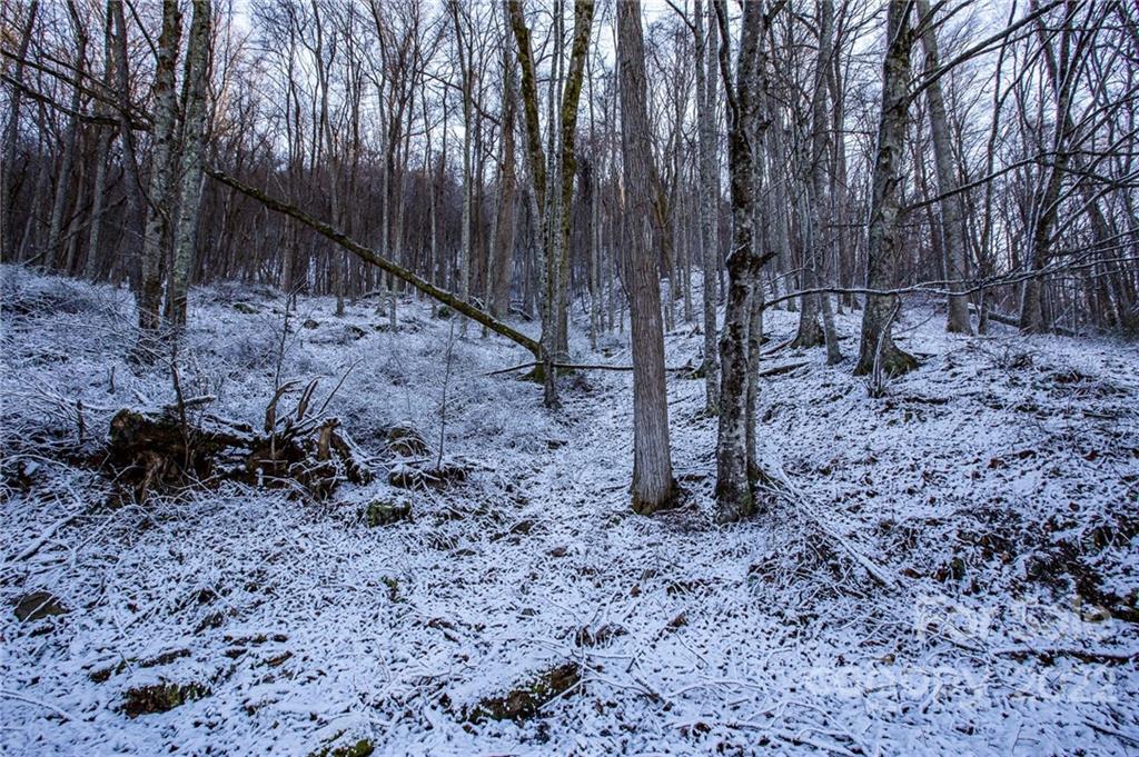0 Soco Road, Unit 7 Maggie Valley, NC 28751 - Photo 33 of 48