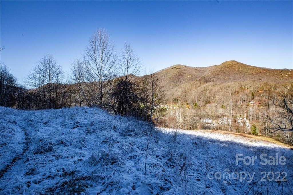 0 Soco Road, Unit 7 Maggie Valley, NC 28751 - Photo 4 of 48