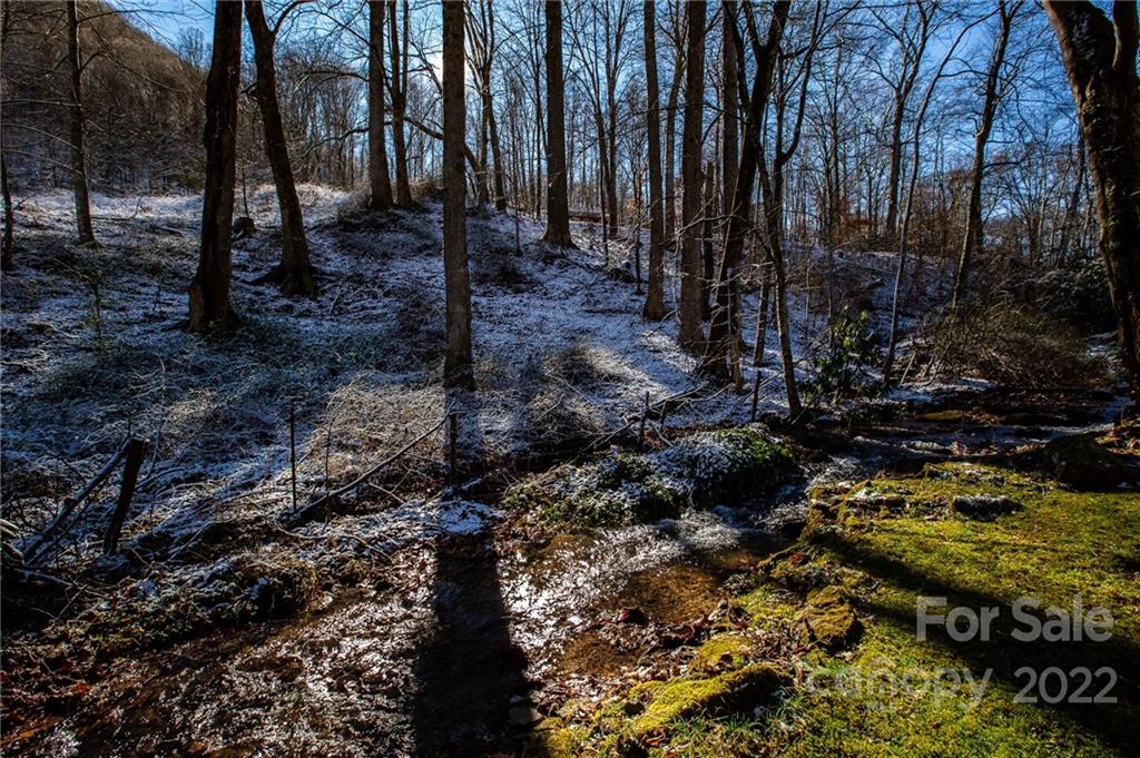 0 Soco Road, Unit 7 Maggie Valley, NC 28751 - Photo 5 of 48