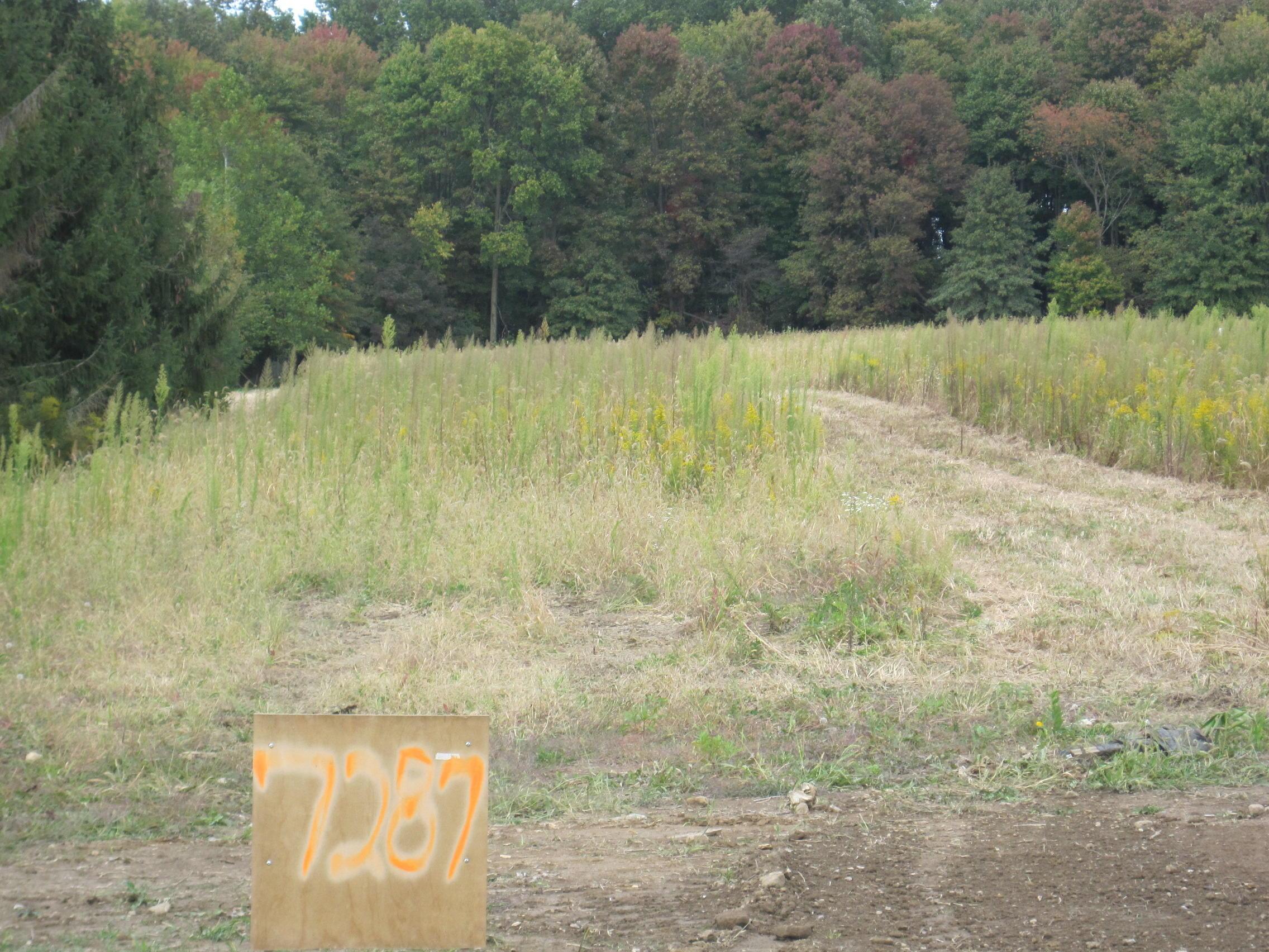 7287 Dustin Road Galena, OH 43021 - Photo 4 of 8 Gallery Image 4