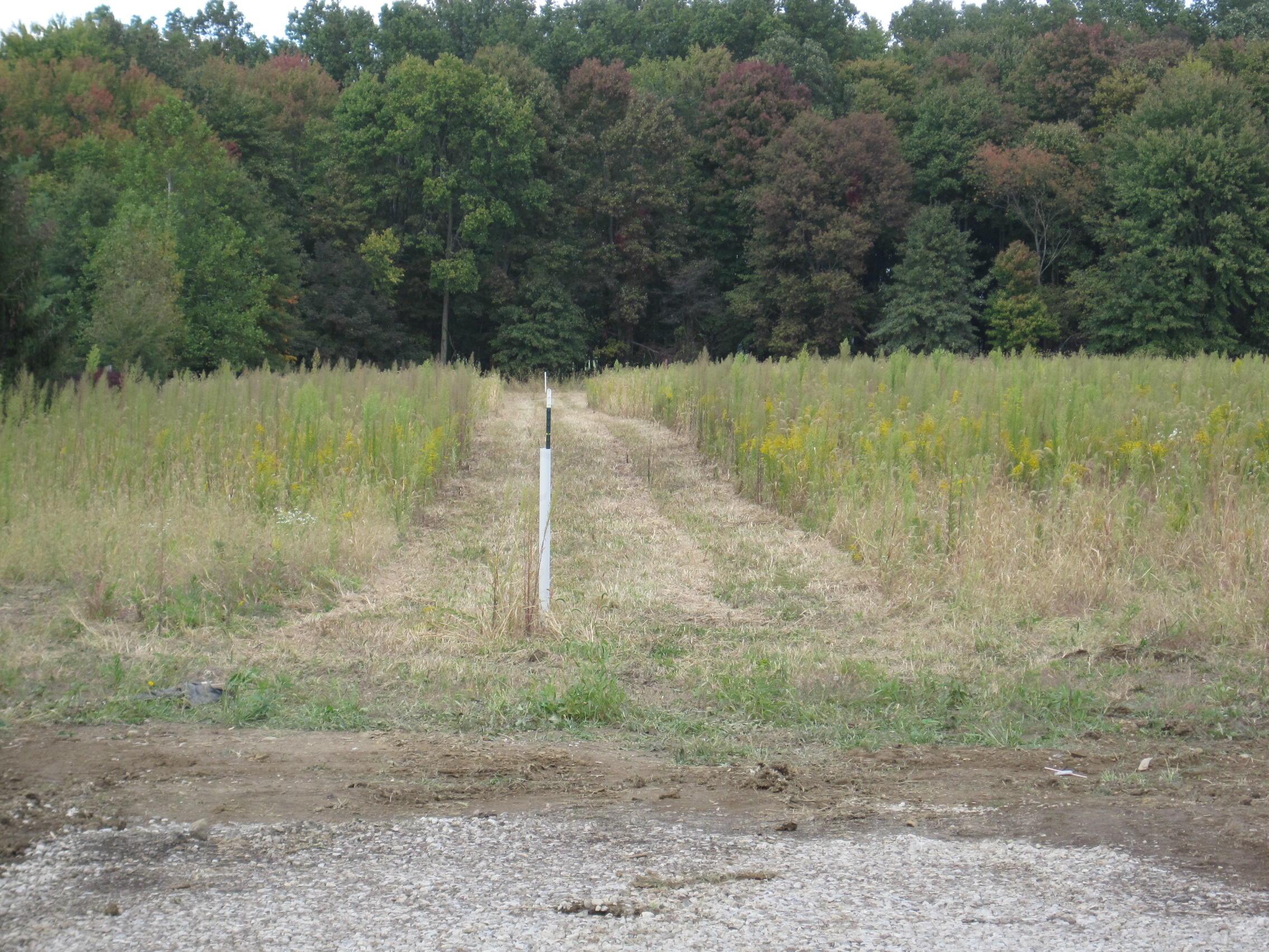 7287 Dustin Road Galena, OH 43021 - Photo 5 of 8 Gallery Image 5