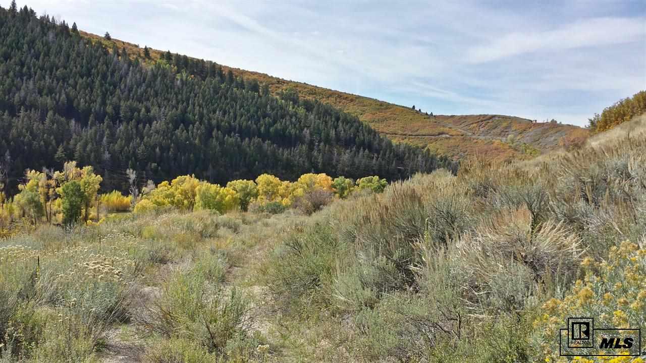 480-ranch Rd Hayden, CO 8087 - Photo 4 of 7