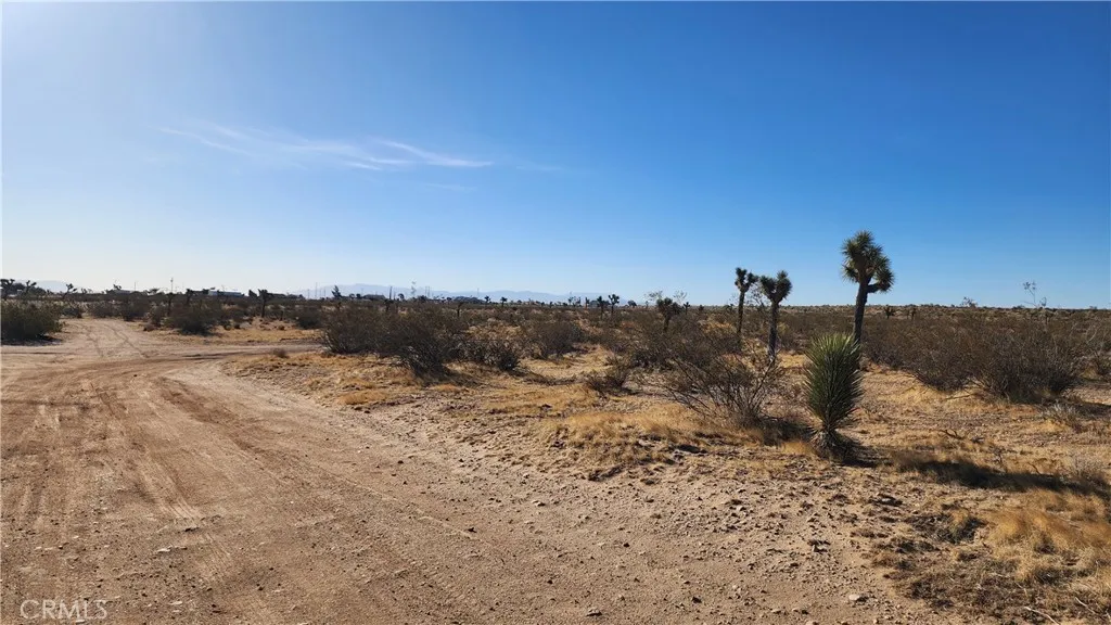 0 Danbury Road Phelan, CA 92371 - Photo 3 of 4 a view of a dry yard with mountains in the background