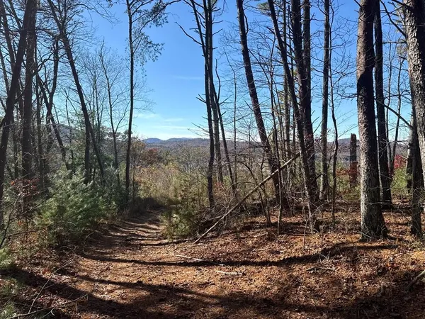 a view of a backyard of the house