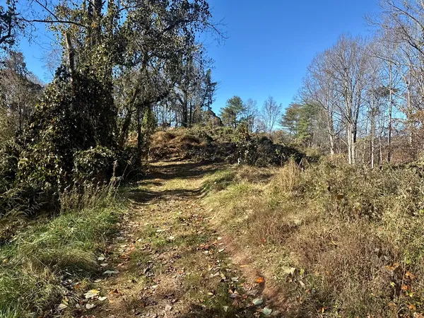 a view of outdoor space and trees
