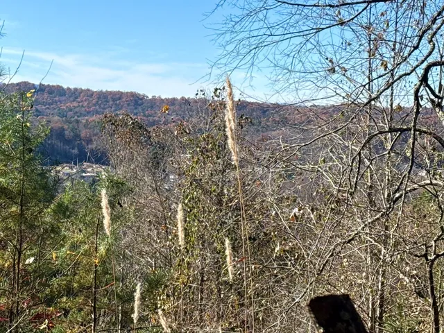 a view of outdoor space and a yard