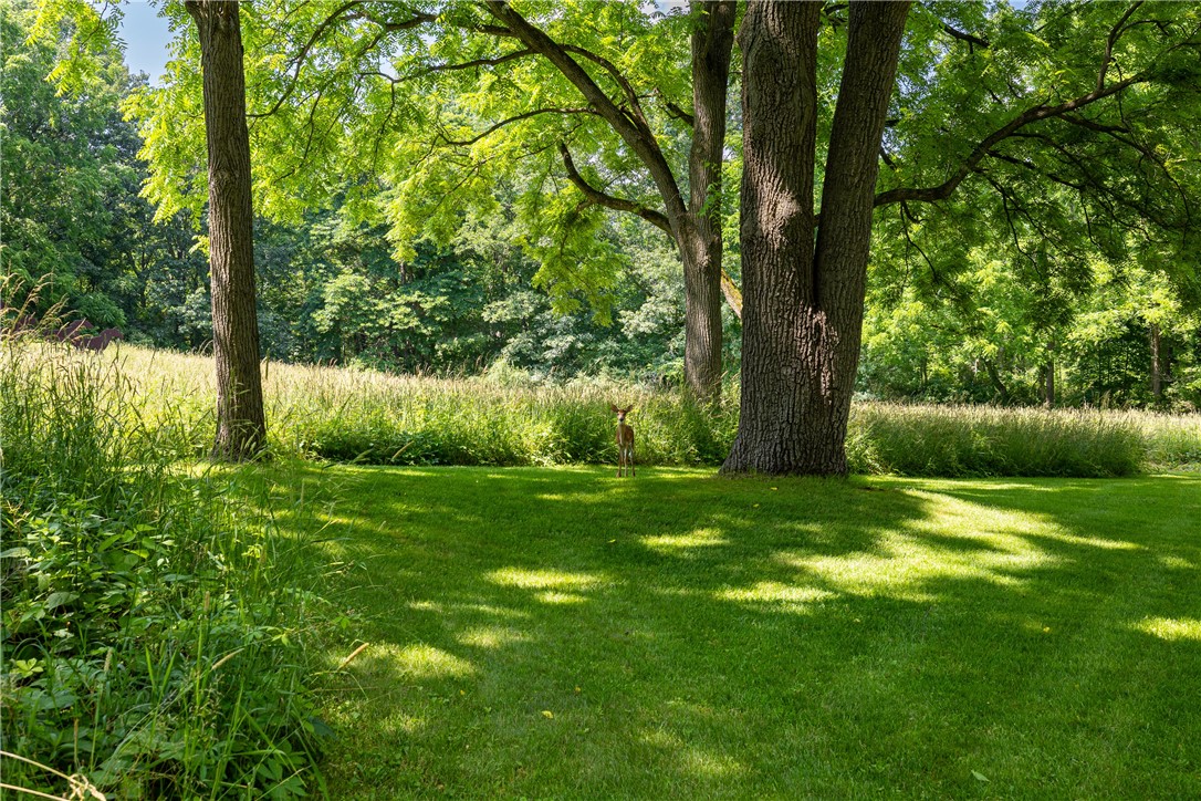 1050 Strong Road Victor, NY 14564 - Photo 49 of 50