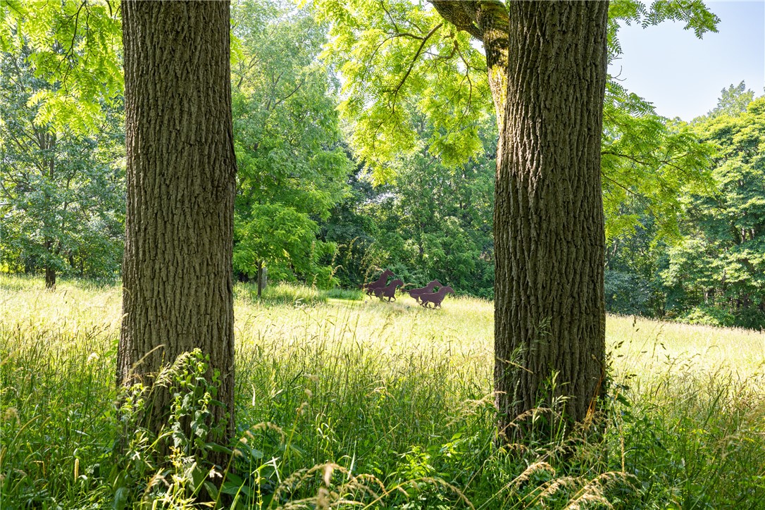 1050 Strong Road Victor, NY 14564 - Photo 50 of 50