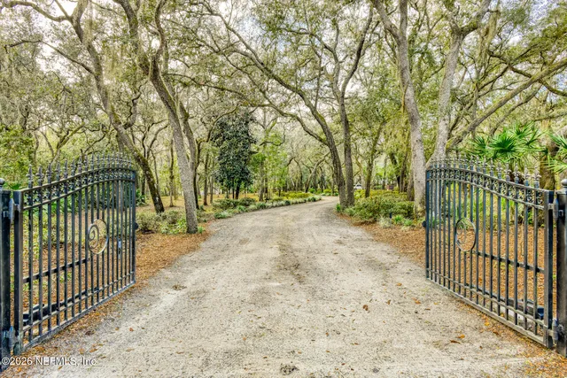 a view of a forest with trees