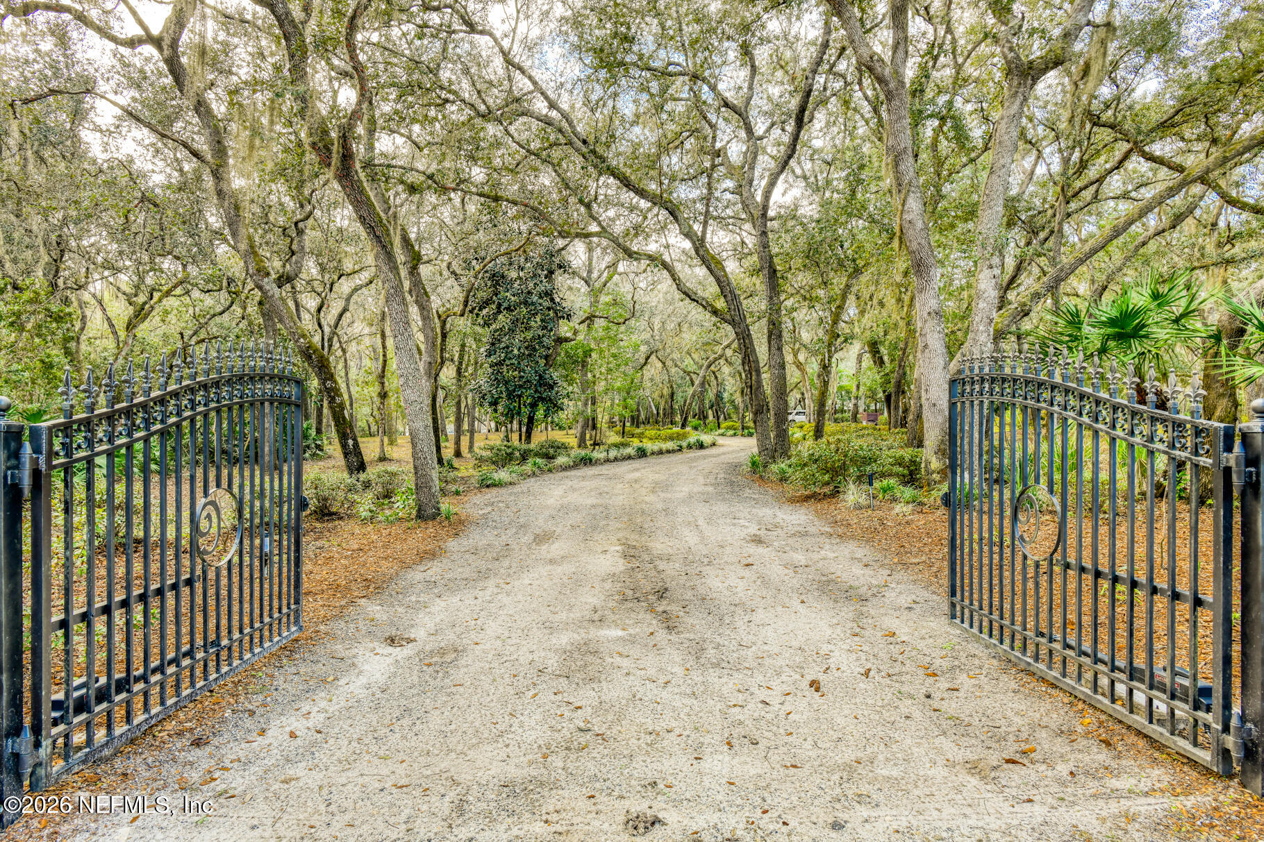131 Whitney Street Satsuma, FL 32189 - Photo 3 of 75 a view of outdoor space with deck and trees