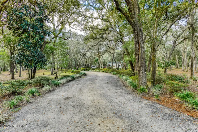 a view of a park with large trees