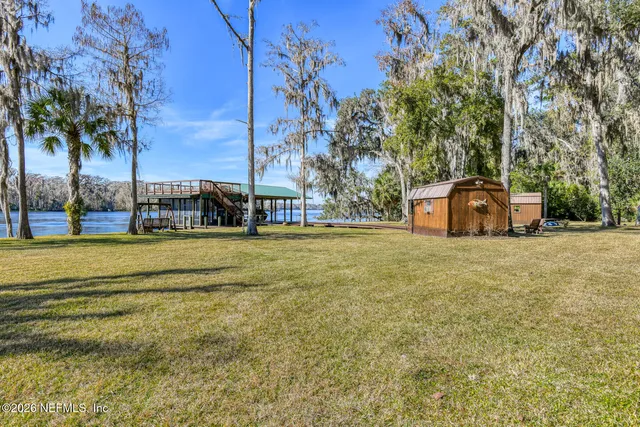 a view of a yard with palm tree