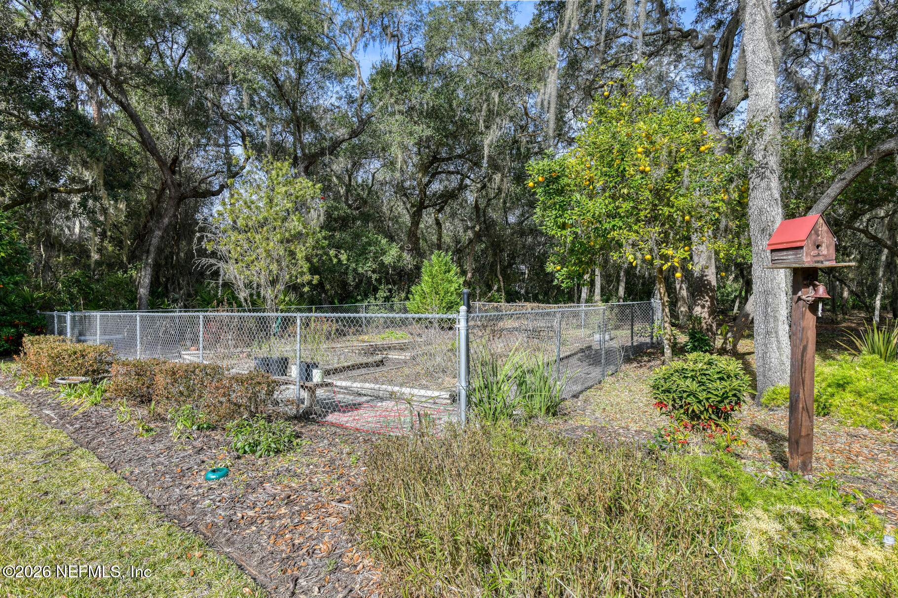 131 Whitney Street Satsuma, FL 32189 - Photo 66 of 75 a backyard of a house with lots of green space