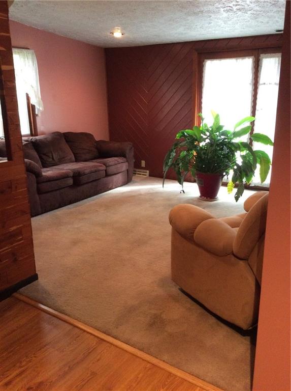 236 Nemacolin Road Carmichaels, PA 15320 - Photo 8 of 21 Gallery Image 8