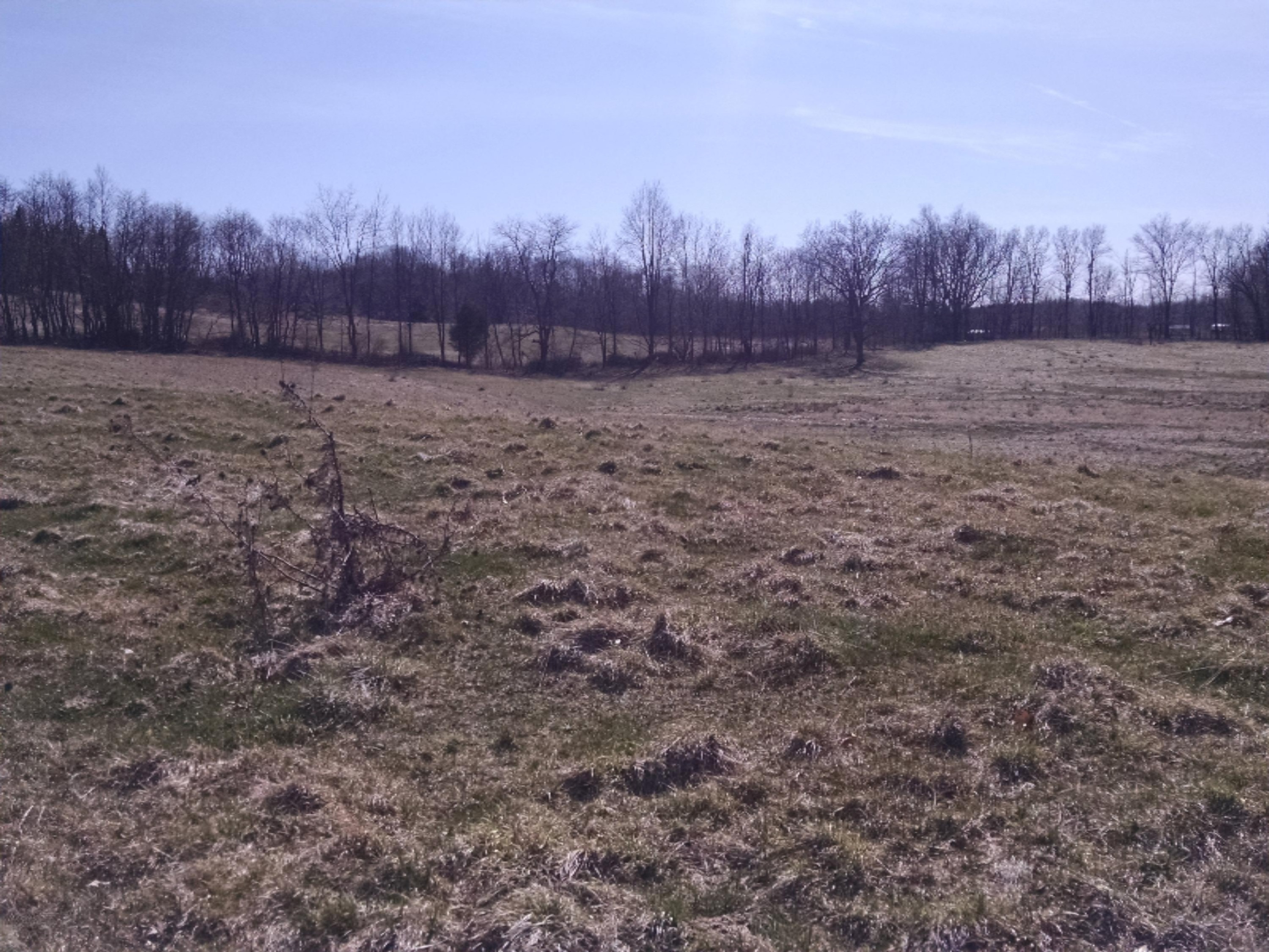 V/l Gurd Road Hastings, MI 49058 - Photo 17 of 29 IMG_20180420_162432973
