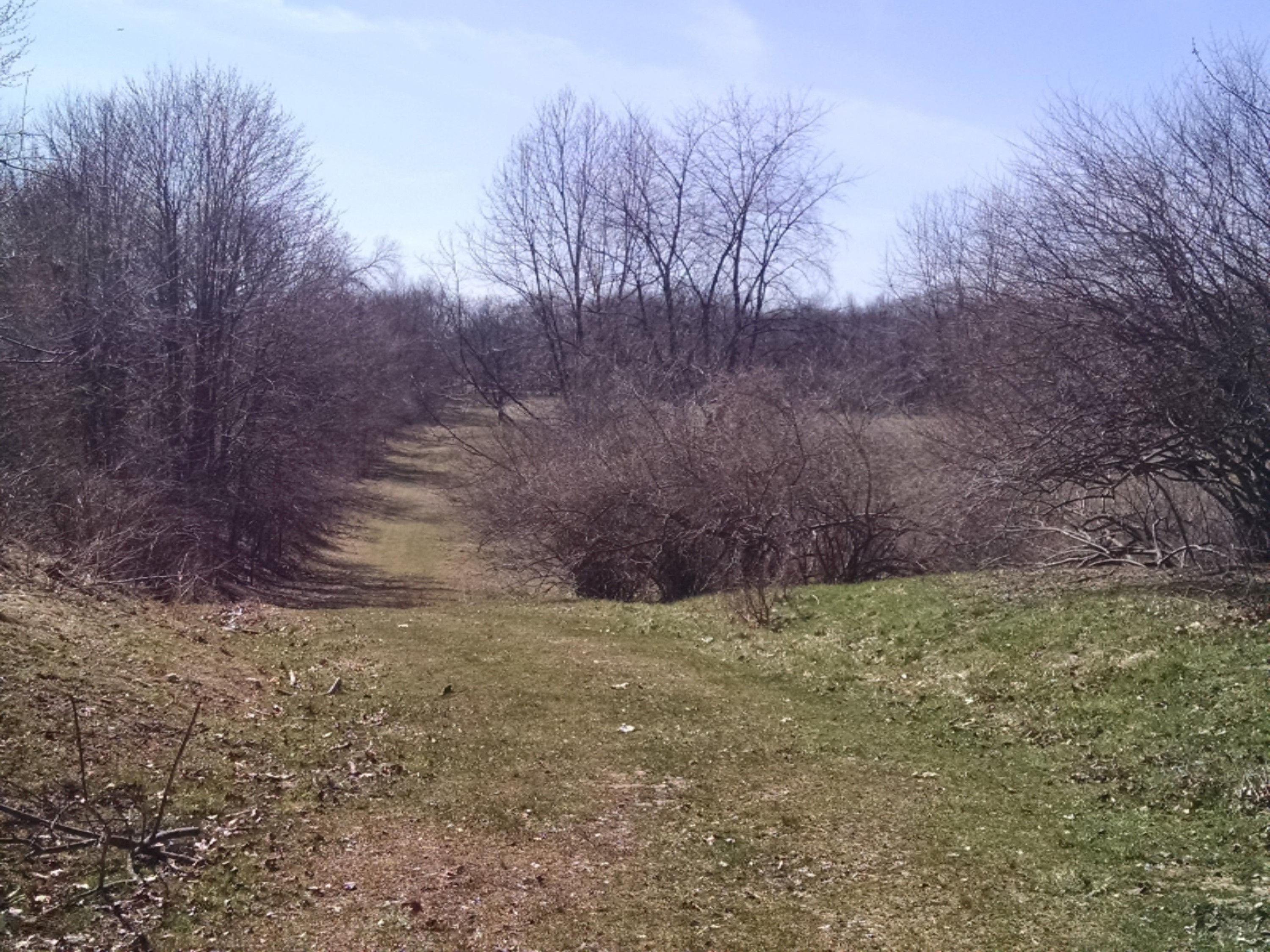 V/l Gurd Road Hastings, MI 49058 - Photo 3 of 29 IMG_20180420_160841339