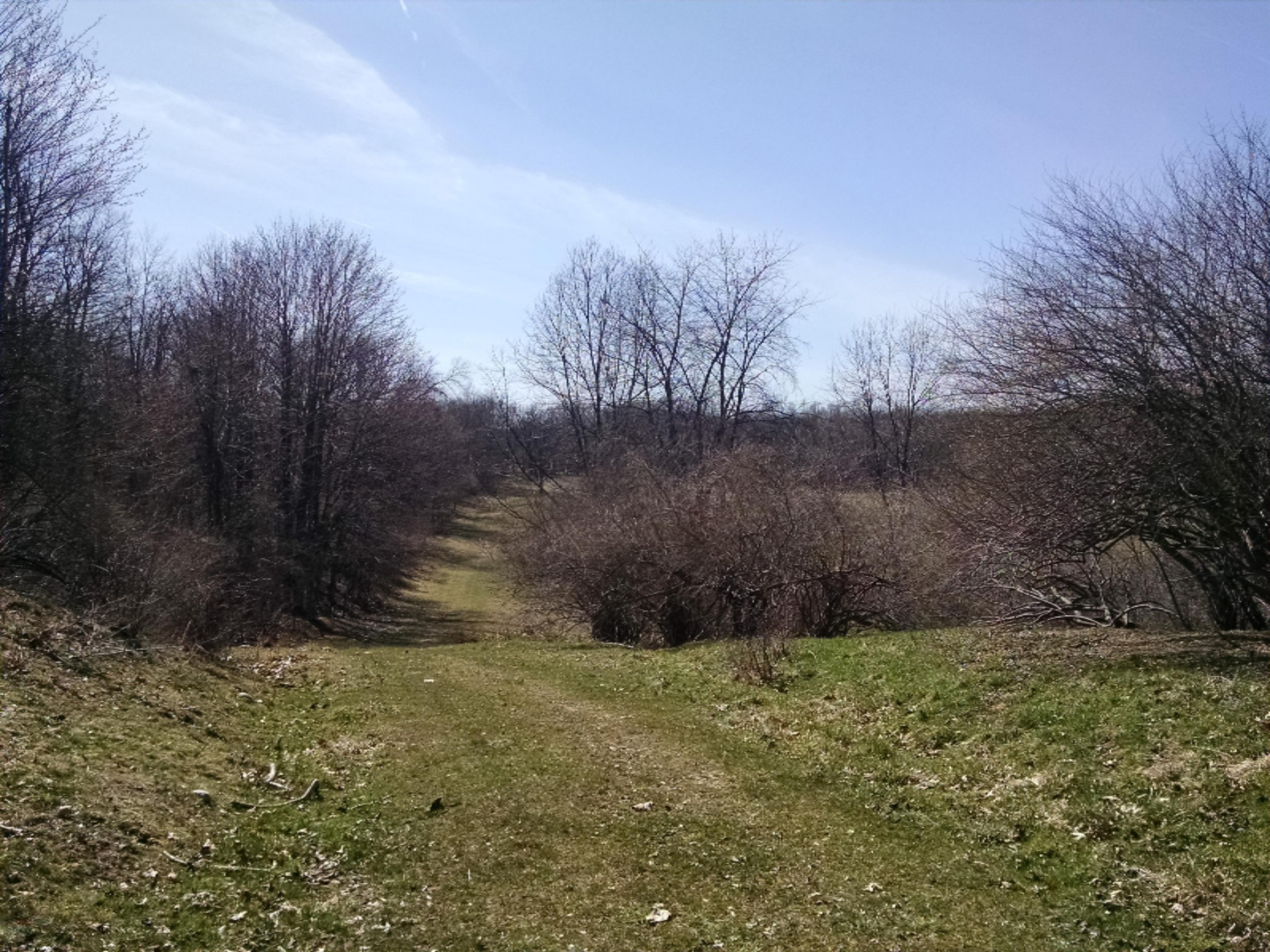 V/l Gurd Road Hastings, MI 49058 - Photo 4 of 29 IMG_20180420_161837406