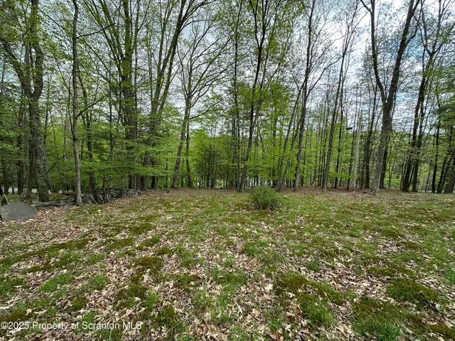 a view of outdoor space with trees all around