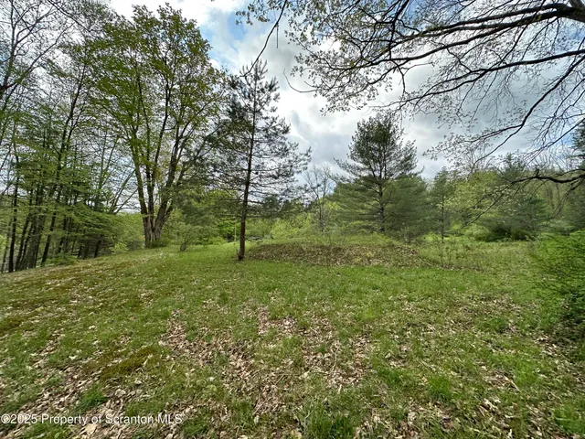 a view of a yard with a tree