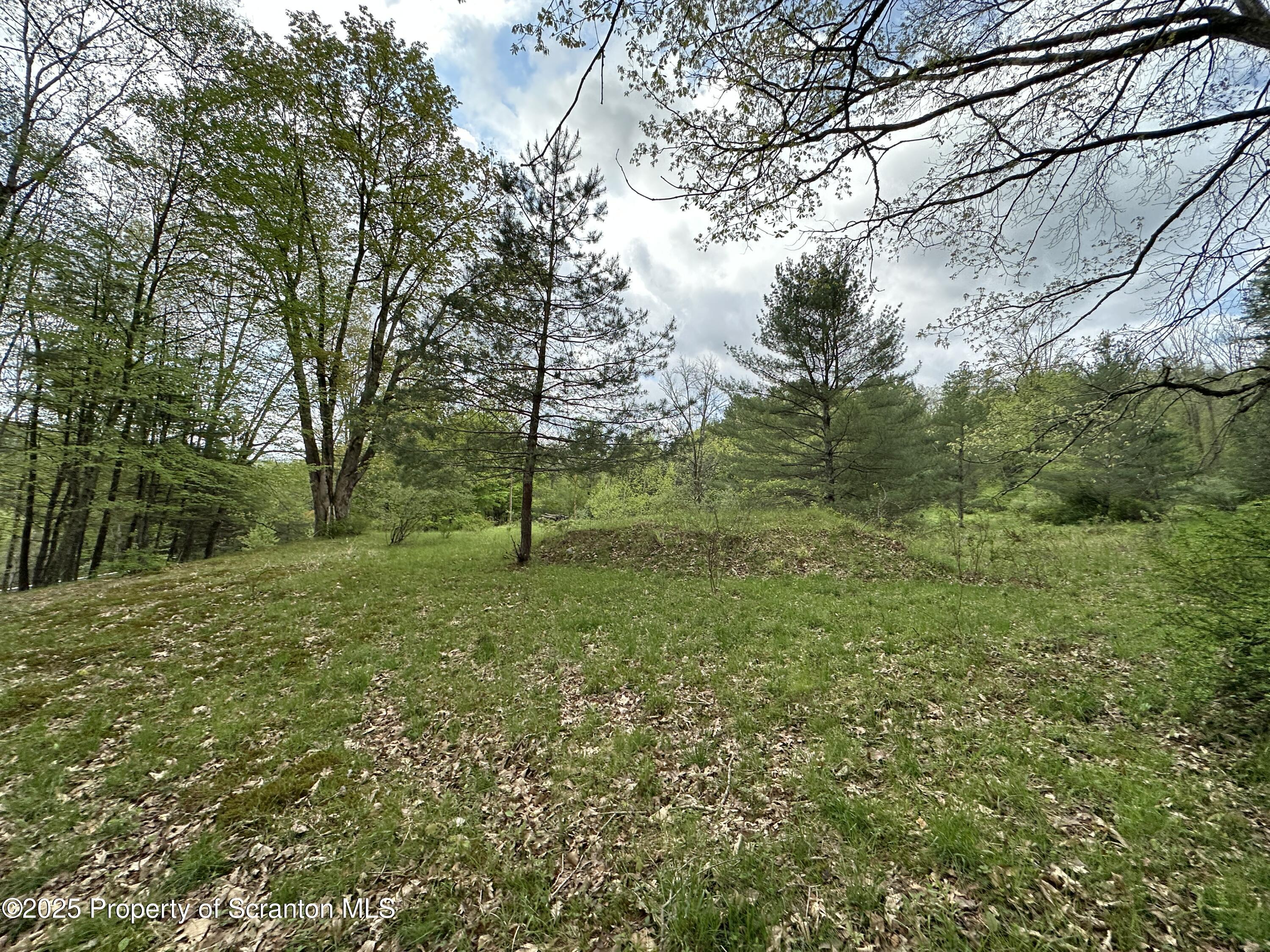 1 River Road Damascus, PA 18415 - Photo 13 of 17 a view of a yard with a tree